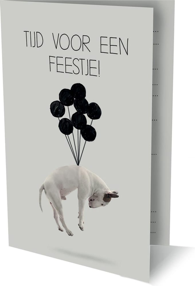 Jimmy The Bull - 6 Dubbele Uitnodigingen Met Envelop – Feestje