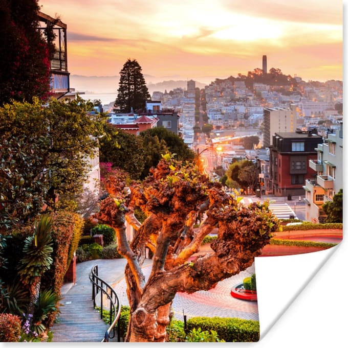 Poster Stad - Tuin - Licht - 75x75 cm