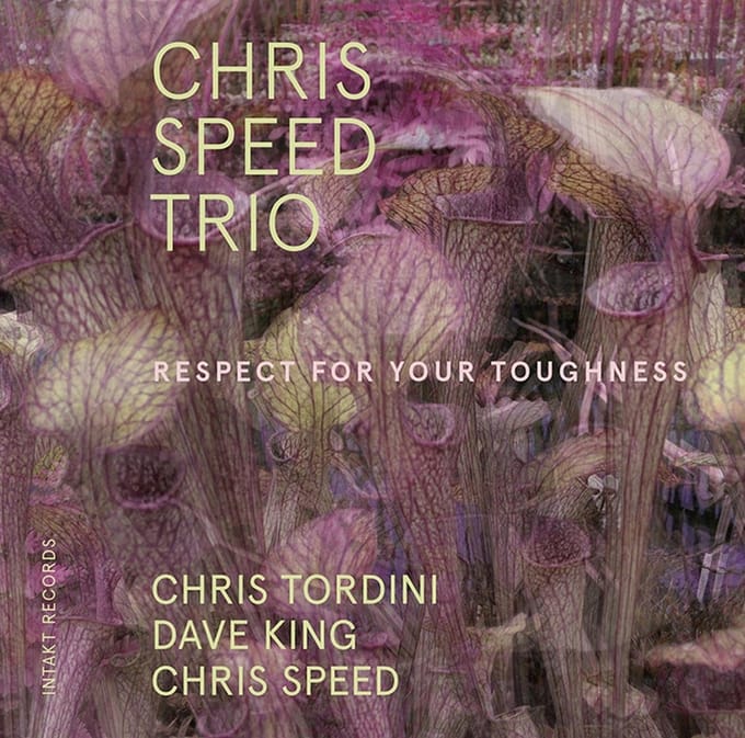 Dave King, Chris Speed, Chris Tordini - Respect For Your Toughness (CD)