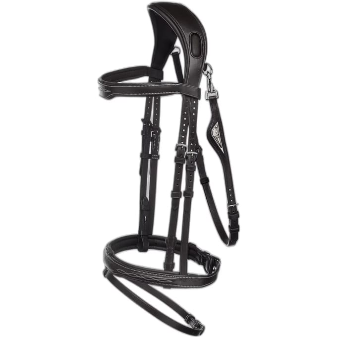 Anatomische hoofdstellen Equiline Light JP
