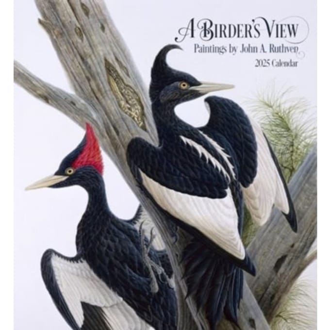 A Birder's View - A. Ruthven, John