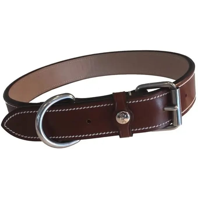 Hondenhalsband Silver Crown Karl