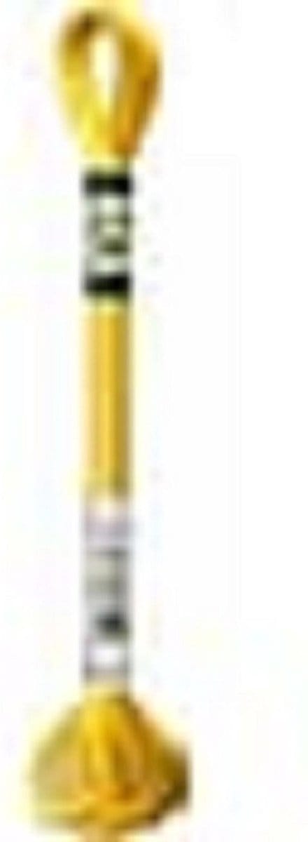 DMC Mouline Satin Nr. S3820 Borduurgaren