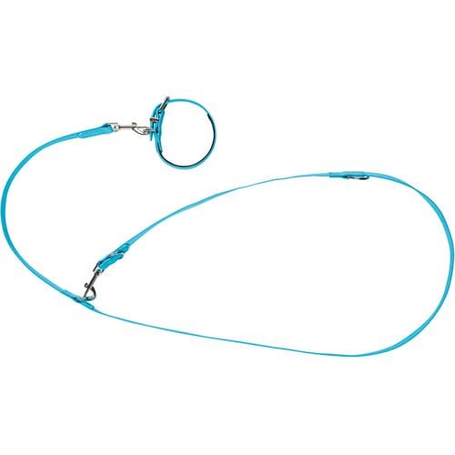 zoofari Hondenhalsband en -lijn (S)