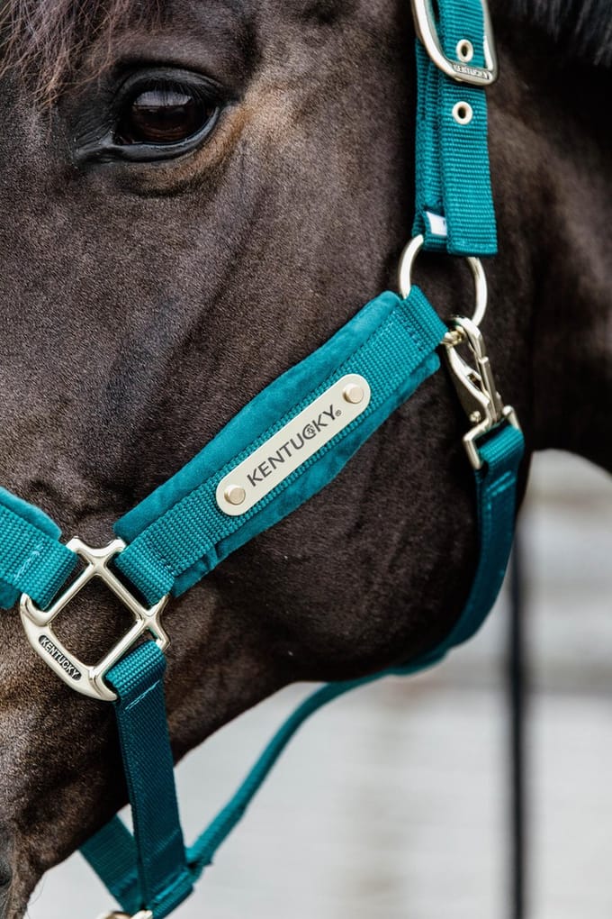 Kentucky Horsewear - Velvet halster smaragd cob