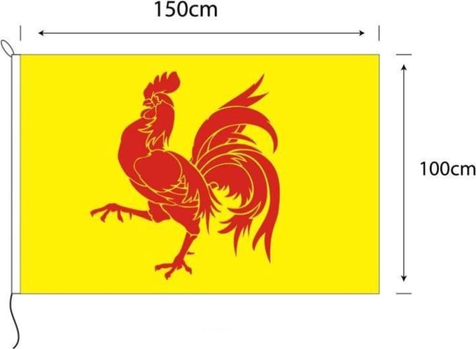 Vlag van Wallonie 100 x 150cm