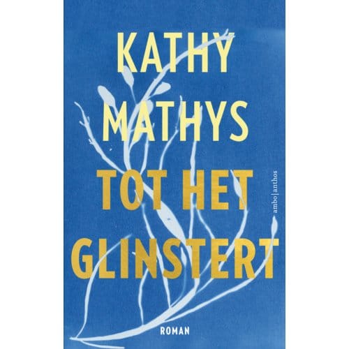 Tot Het Glinstert - Kathy Mathys