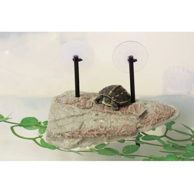 Terrarium accessoires Reptiles Planet Turtle Island