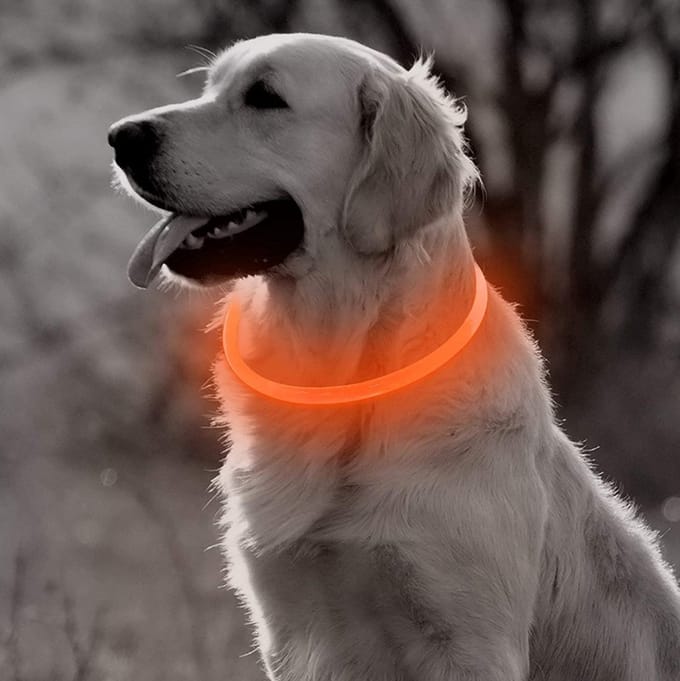 Professor Q LED Halsband Hond - Oranje - M - USB Oplaadbaar - 3 Lichtstanden