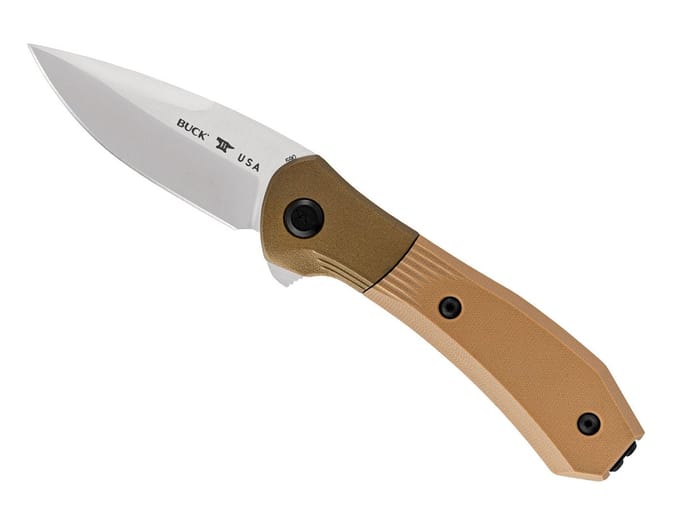 Buck paradigm brown