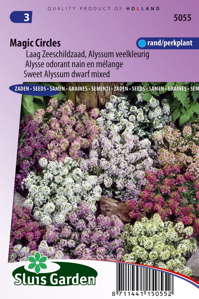 Schildzaad (Lobularia maritimum) - Magic Circles Mix (Alyssum) - Geurend - bloeit in Oktober / Juni / Juli / Augustus / September