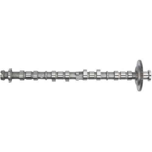 Nokkenas  AE CAM1036