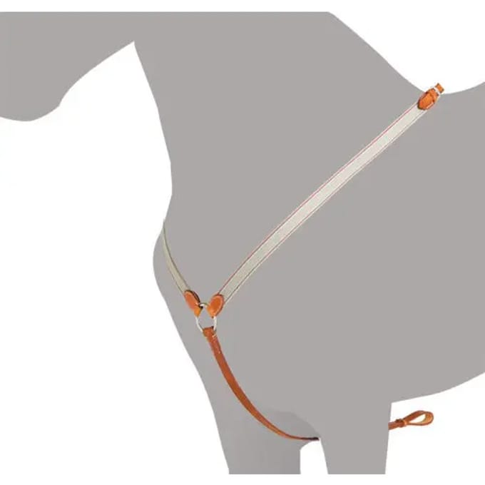 Jachthalsband voor paarden Ludomar