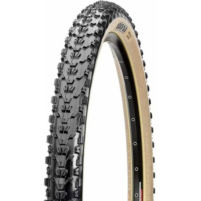 Zachte band Maxxis Ardent Exo tanwall