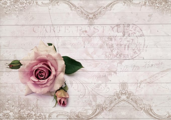 Poster | Roze | 104 x 70,5 cm