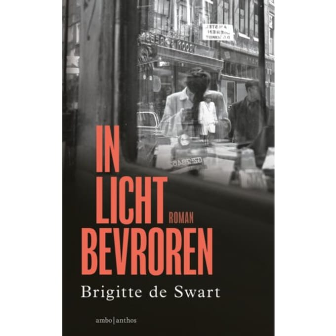 In Licht Bevroren - Brigitte de Swart