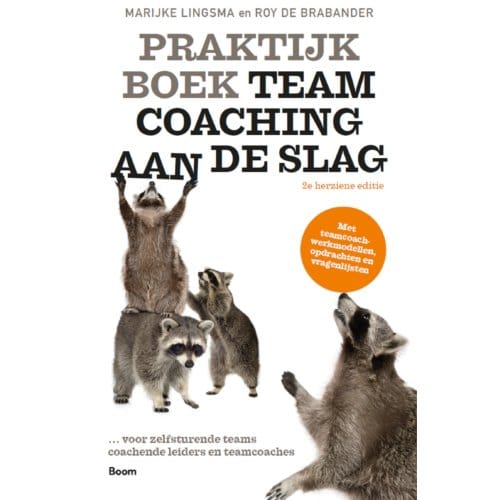 Praktijkboek Teamcoaching, Aan De Slag - Marijke Lingsma