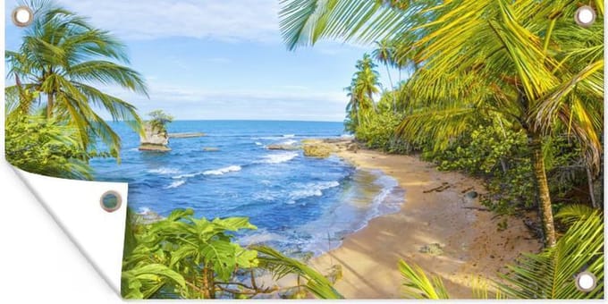 Schuttingposter Strand - Amerika - Palmbomen - 200x100 cm - Tuindoek