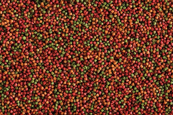 Nutribird uni komplet 3 kilo - 3 kilo - Nutribird - Vogelvoer - Pellets - Nutribird