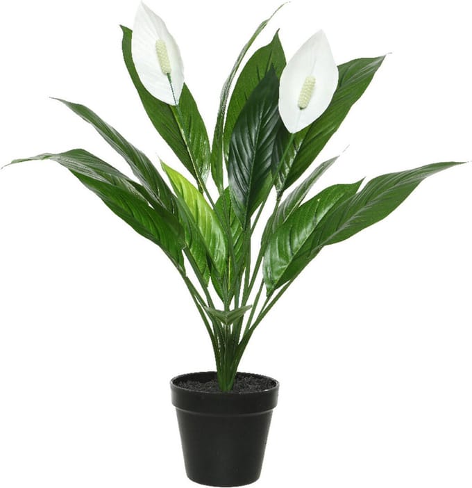 Decoratieve plant Mica Decorations Espatifilo PVC