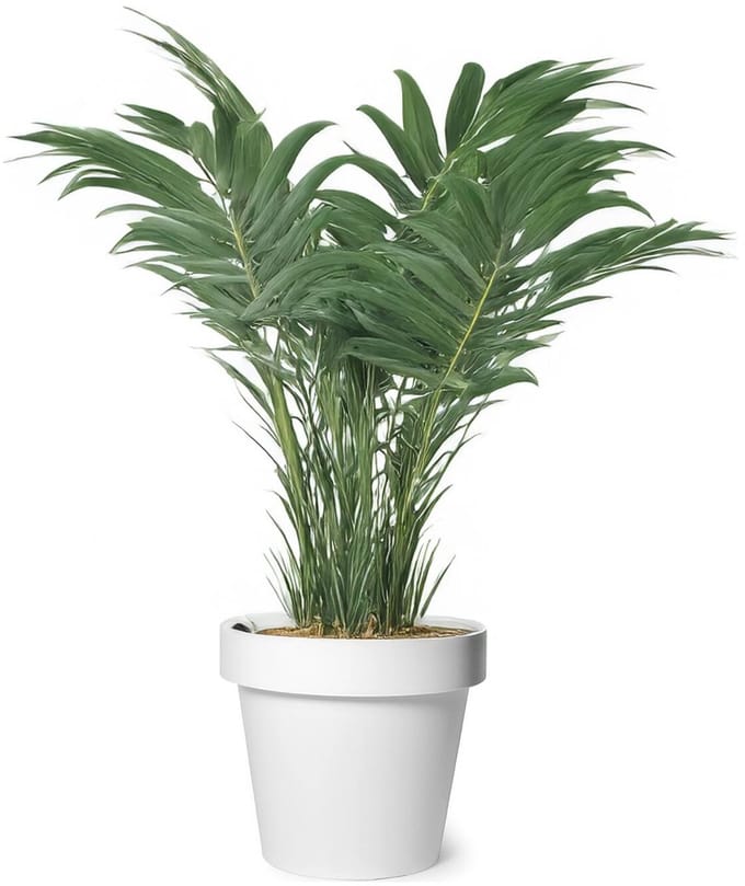 Mega Collections Plantenpot/bloempot - kunststof - wit - buiten - D35 x H31 cm
