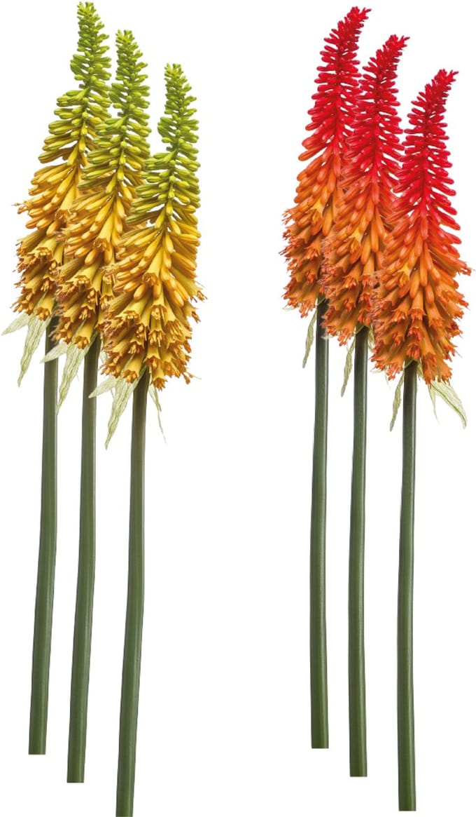 Emerald - Kunstbloem Kniphofia 85cm - Set van 6 - Kunstplant voor binnen