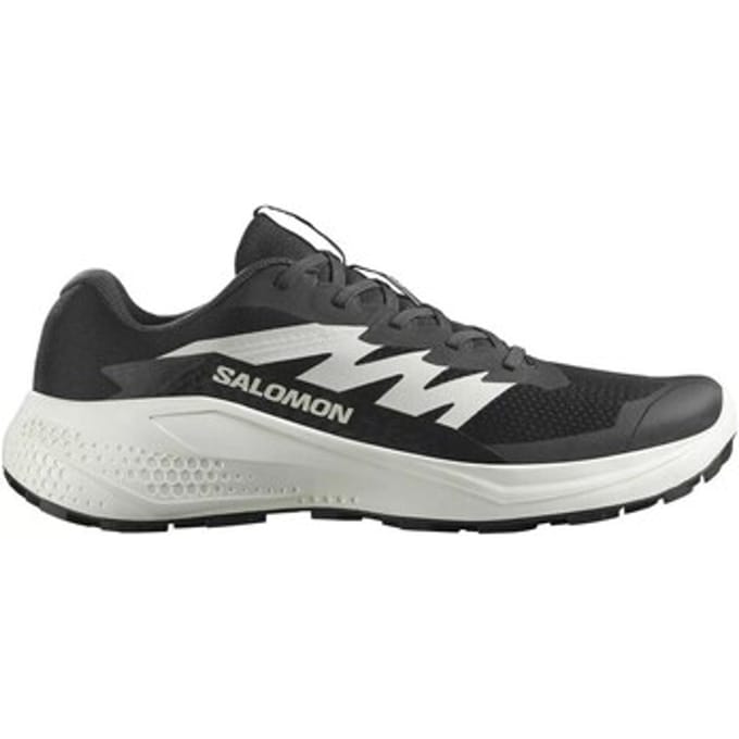 Lage Sneakers Salomon Alphaglide