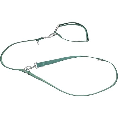 ZOOFARI Hondenhalsband en riem (Groen, M)