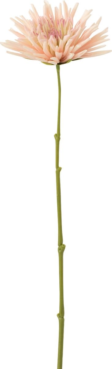 J-Line bloem Chrysant Mini - kunststof - wit/lichtroze - 24 stuks