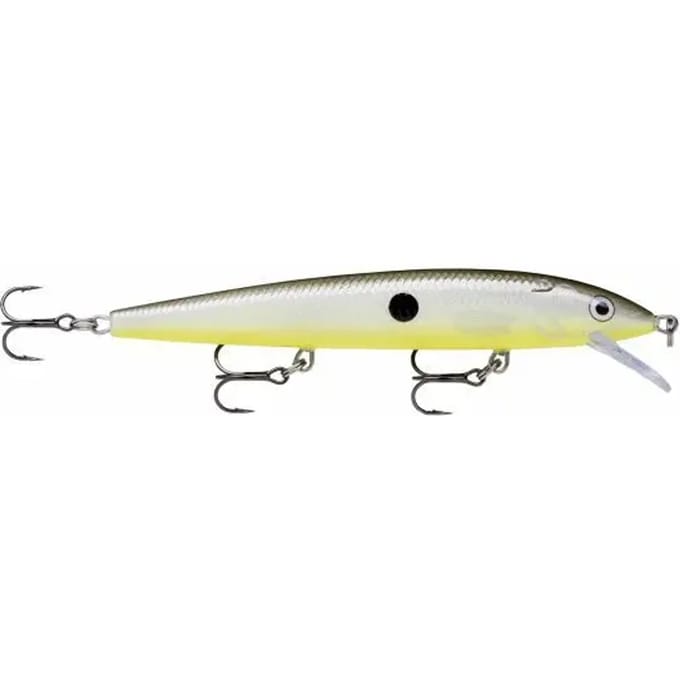 Ophangen van kunstaas Rapala husky jerk 10 cm