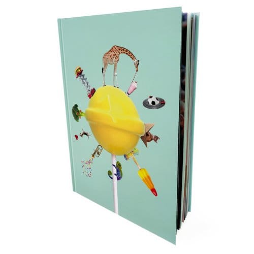 Het Grote Kijkboek - Kristel van Klaveren