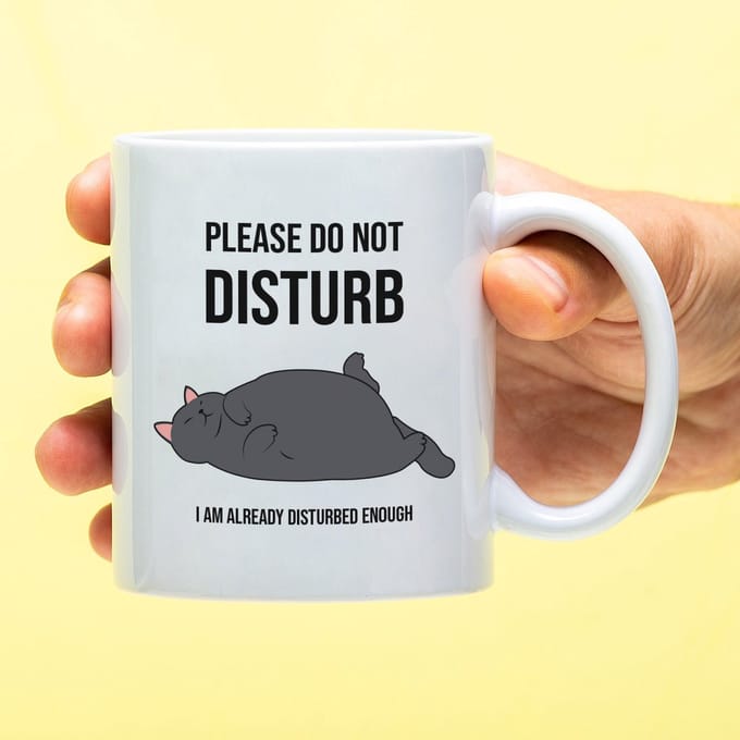 Ditverzinjeniet.nl Mok Please Do Not Disturb