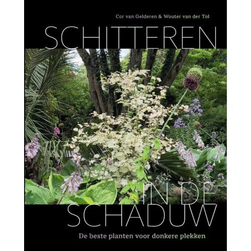 Schitteren In De Schaduw - Cor van Gelderen
