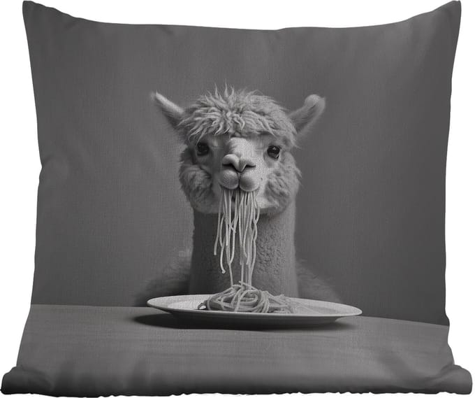Buitenkussen - Alpaca - Pasta - Zwart - Wit - Grappig - Dieren - 45x45 cm - Weerbestendig