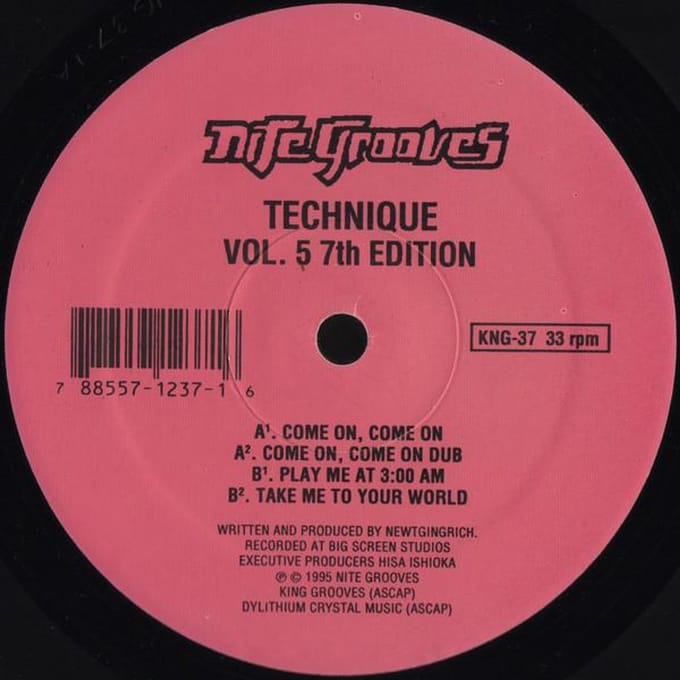 12-inch Plaat TECHNIQUE - Deel 5 7e Editie KNG37 Nite Grooves 1995 VS Dans & Electronica Gebruikt