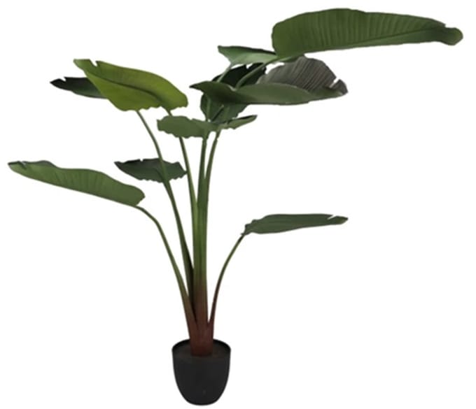 zijde strelitzia groen 185cm