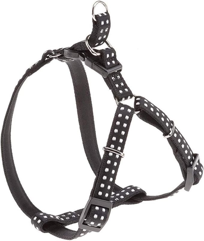 Hondentrainingshalsband voor effectieve training van je huisdier