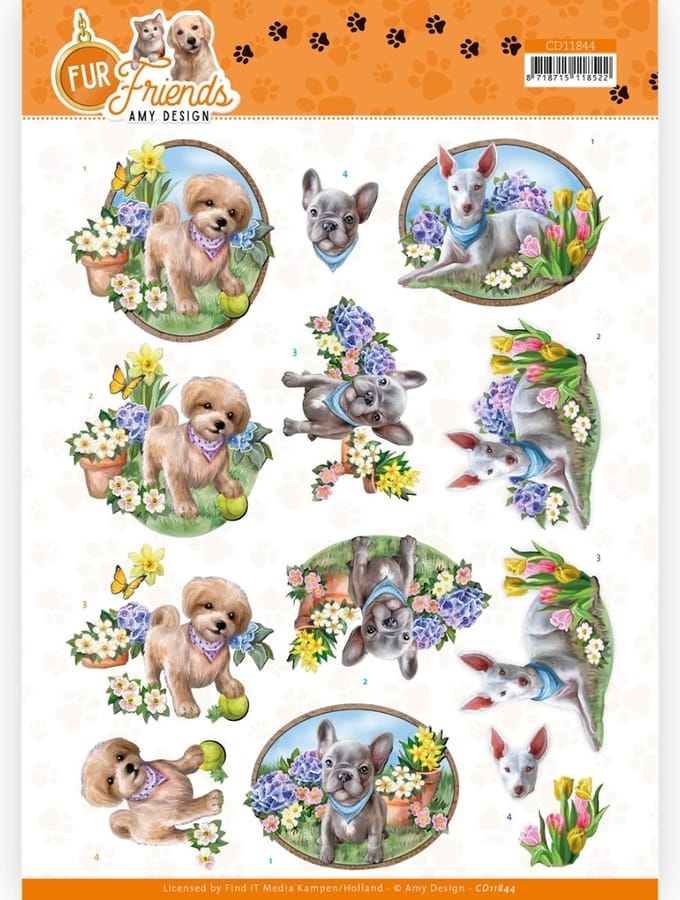 Pakket om 6 3D kaarten te maken met thema hond