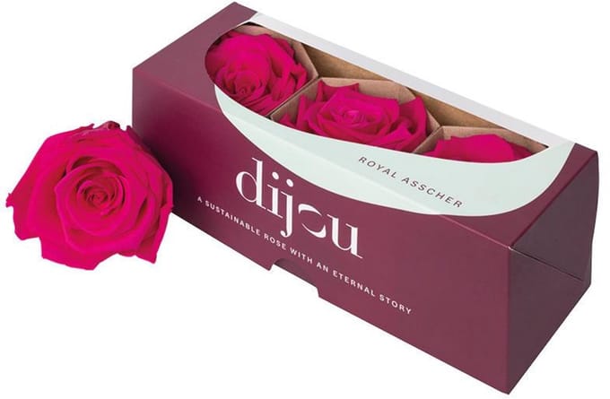 3x Dc pres.rozen fuchsia 2395c