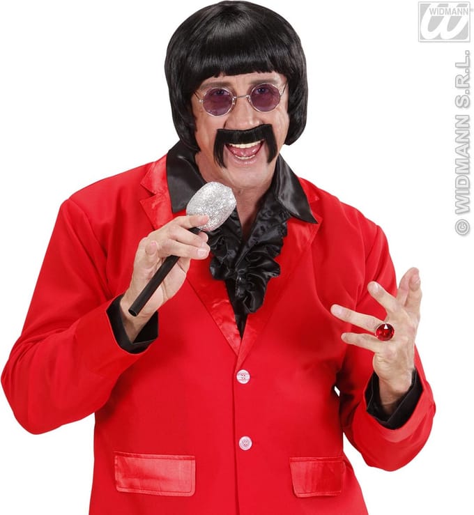 pruik popster 60s zwart met snor en bril