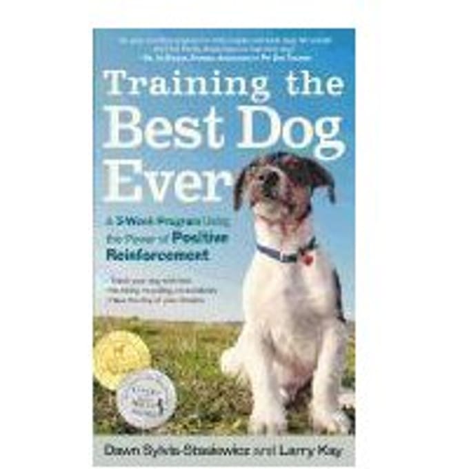 Training The Best Dog Ever - Kay, Larry