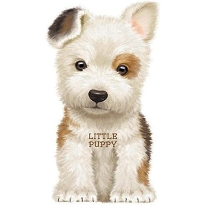 Little Puppy