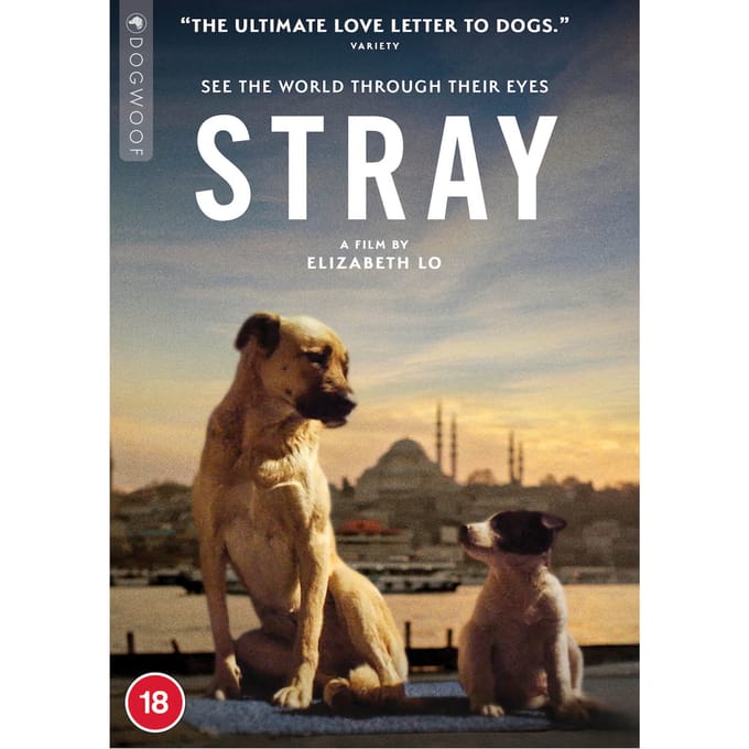 Stray