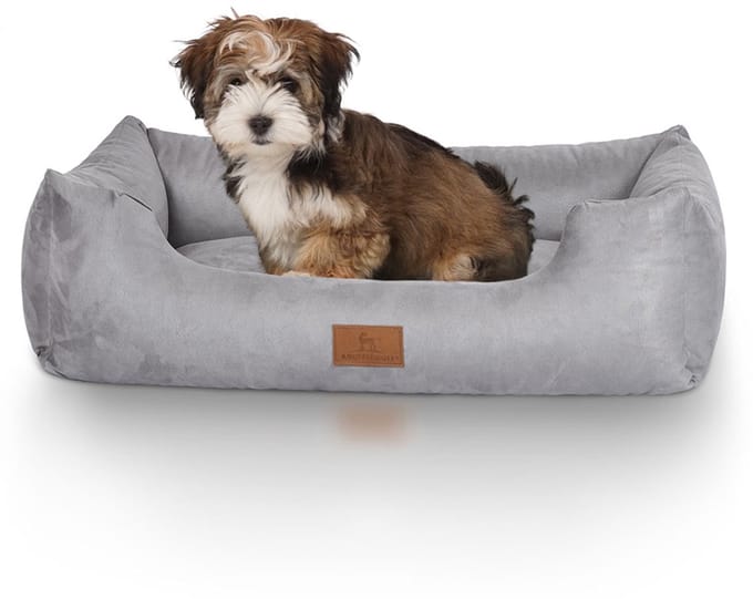 Knuffelwuff Hondenbed Dreamline van velours Grijs S 70 x 50cm