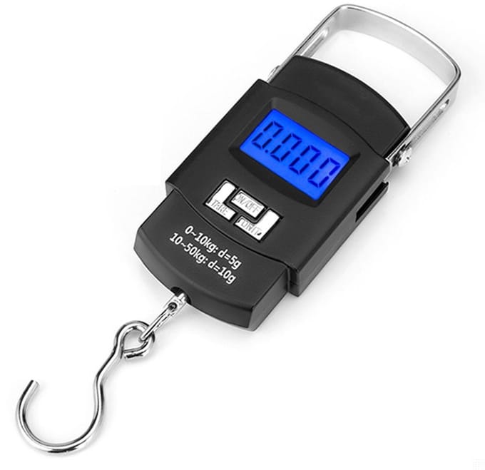 Hangweegschaal met haak 50kg/10g