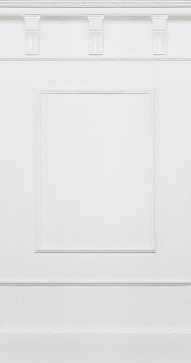 Fotobehang - Panel Pure 100x250cm - Vliesbehang