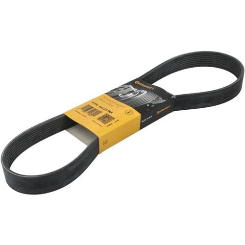 Continental Ctam V-riem CONTINENTAL 8 PK 954 EXTRA