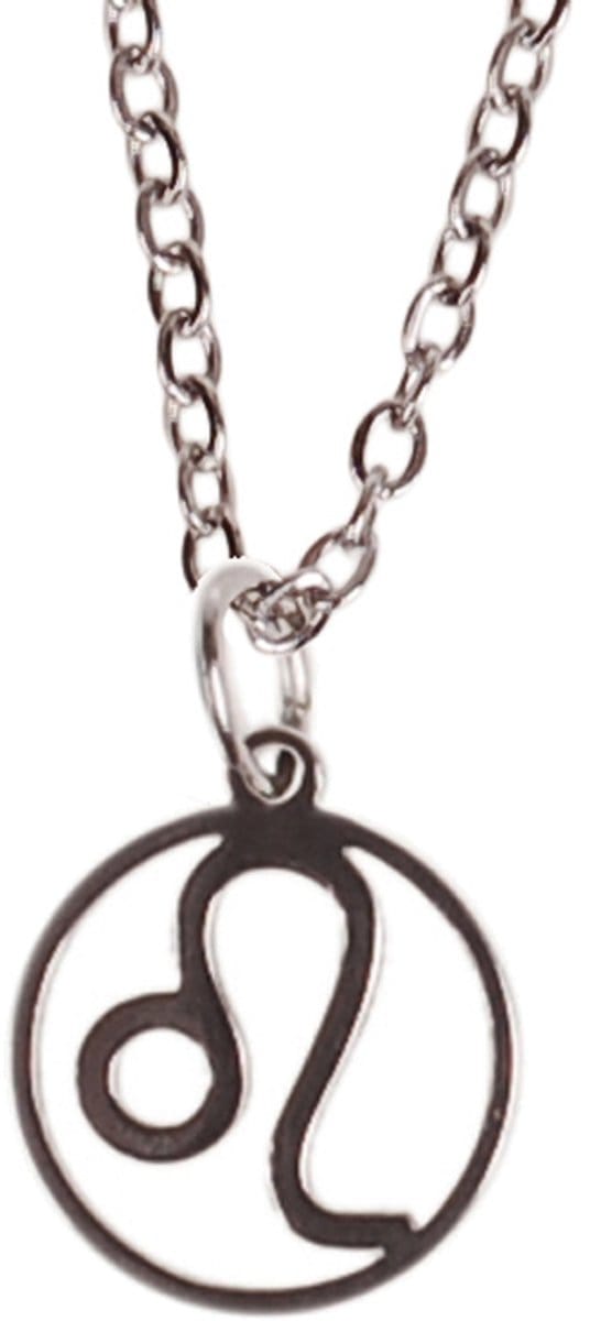 Kinderketting Zilverkleurig 45cm - Hangertje Sterrenbeeld RVS - Leeuw