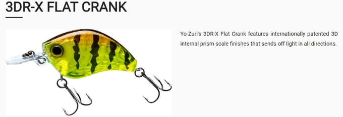 Yo Zuri 3DR-X Flat Crank 55F Drijvend kunstaas R1443-TBCF (8596)