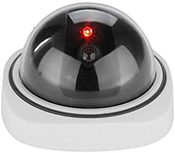 Nep Beveiligingscamera Dome voor Binnen en Buiten met Knipperende LED